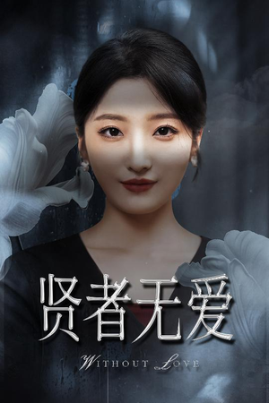 贤者无爱(42集) 贤者无爱(42集)全集