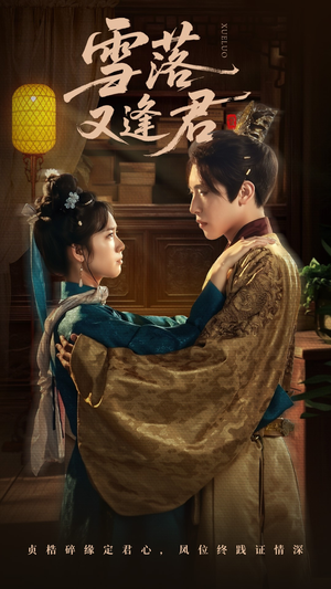 雪落又逢君(78集) 雪落又逢君(78集)短剧小说在线看