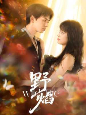 野焰(60集) 野焰(60集)集免费看短剧