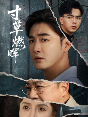 寸草燃晖(70集) 寸草燃晖(70集)高清画质免费看