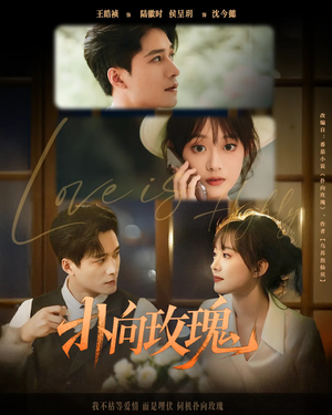 扑向玫瑰(77集) 扑向玫瑰(77集)第一集