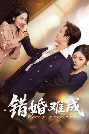 错婚难成(45集) 错婚难成(45集)正能量短剧分享