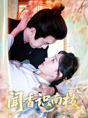 闻香识南枝（60集）最新热剧免费看