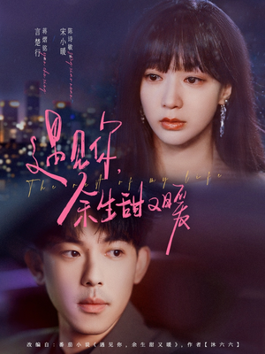 遇见你余生甜又暖(70集) 遇见你余生甜又暖(70集)精彩短剧合集