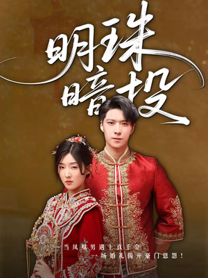 明珠暗投(60集) 明珠暗投(60集)网盘在线观看