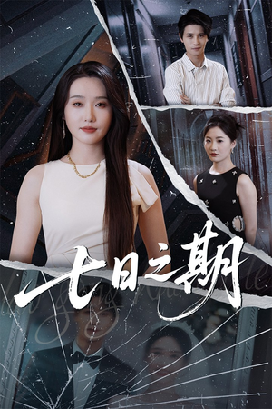 七日之期(90集) 七日之期(90集)在哪里看