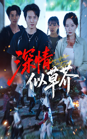 深情似草芥（51集）全集我都看完了