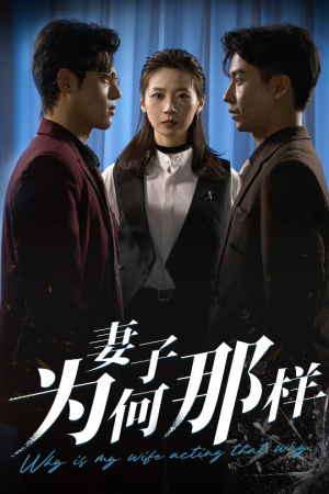 妻子为何那样(60集) 妻子为何那样(60集)短剧片段推荐