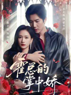 霍总的掌中娇（80集）在哪里可以全集