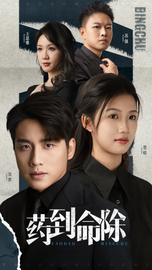 药到命除(72集) 药到命除(72集)口碑之选免费看