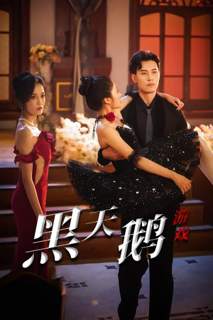 黑天鹅游戏(60集) 黑天鹅游戏(60集)演员表