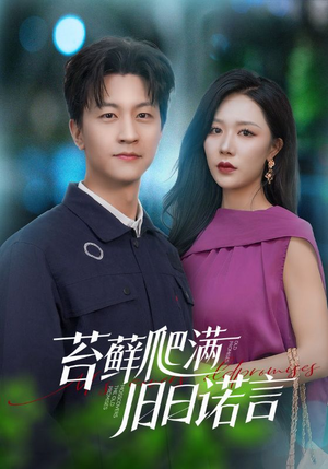 苔藓爬满旧日诺言(83集) 苔藓爬满旧日诺言(83集)第一季