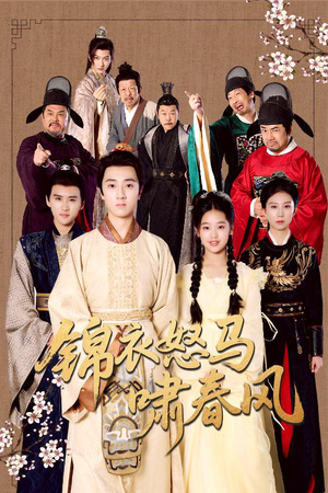 锦衣怒马啸春风（62集）高分推荐免费看