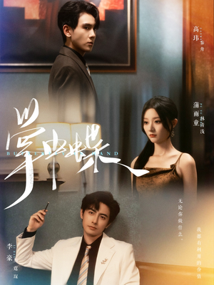 掌中蝶(84集) 掌中蝶(84集)番茄短剧免费看