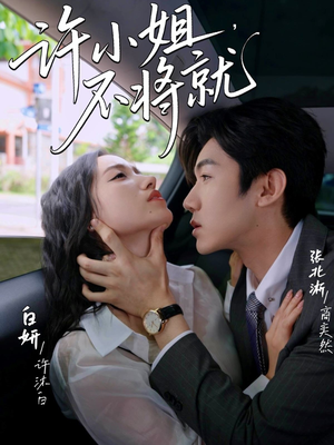 许小姐不将就（60集）热门短剧大全