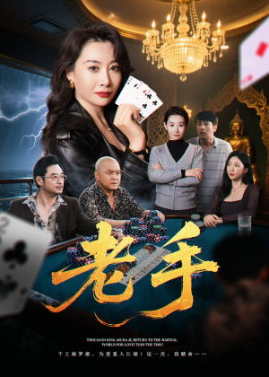 老手(36集) 老手(36集)全集免费观看