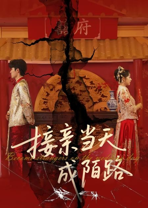 接亲当天成陌路(50集) 接亲当天成陌路(50集)热门短剧抢先