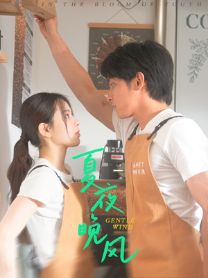 夏夜晚风(12集) 夏夜晚风(12集)短剧热播推荐