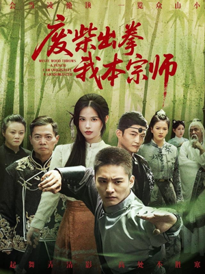 废柴出拳我本宗师（61集）短剧免费看