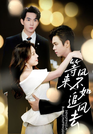 等风来不如追风去(72集) 等风来不如追风去(72集)真的好看吗