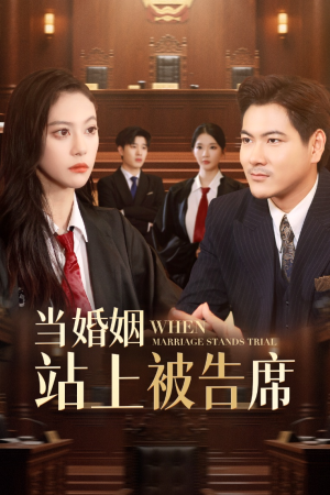 当婚姻站上被告席(30集) 当婚姻站上被告席(30集)短剧在哪里看