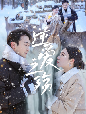 逆爱之殇(60集) 逆爱之殇(60集)简直不要太好看