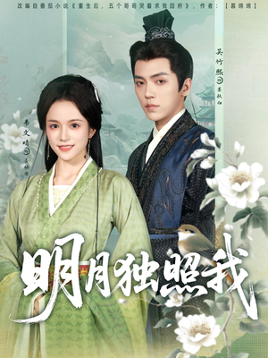 明月独照我(80集) 明月独照我(80集)短剧解说热门