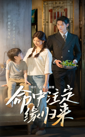 命中注定缘归来（63集）热播短剧抢先看