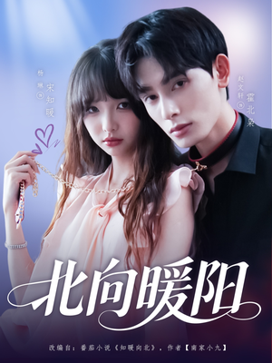 北向暖阳（80集）全集一网打尽