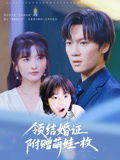 领结婚证附赠萌娃一枚（53集）热播短剧排行榜