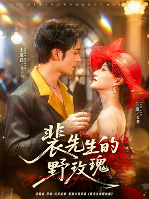 裴先生的野玫瑰（72集）太好看了短剧