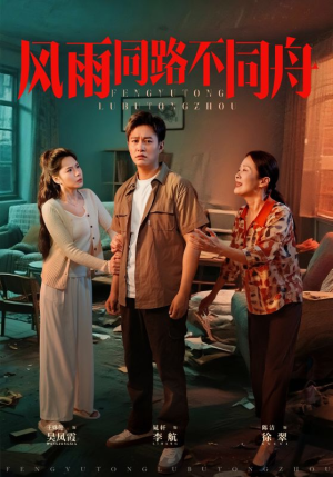 风雨同居不同舟（32集）评价怎么样