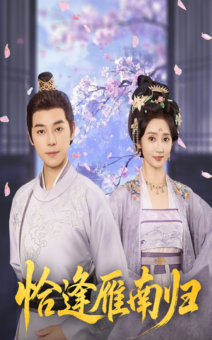 恰逢雁南归（51集）短剧小说在线看