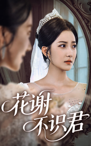 花谢不识君（40集）短剧热播推荐