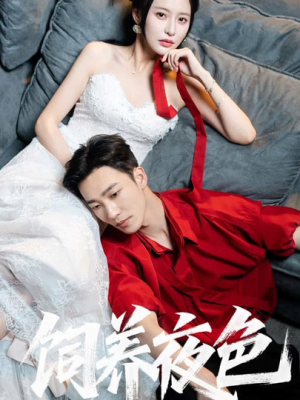 饲养夜色(86集) 饲养夜色(86集)独家资源免费看