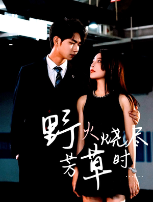 野火烧尽芳草时（65集）最后一集