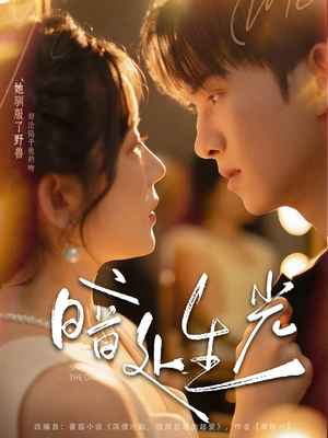 暗处生光(82集) 暗处生光(82集)短剧太好看了吧