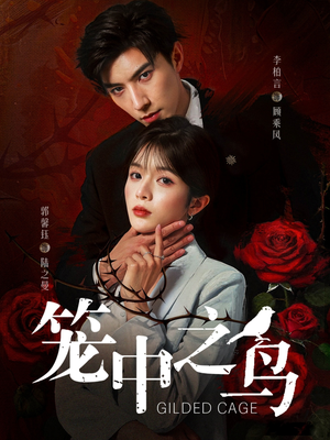 笼中之鸟(70集) 笼中之鸟(70集)热门短剧大全