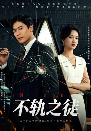 不轨之徒（72集）常回家看看短剧