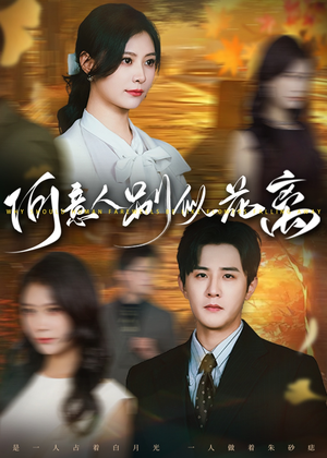 何意人别似花离(61集) 何意人别似花离(61集)在线观看