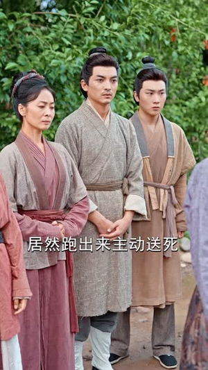 寒门武状元（80集）完整版