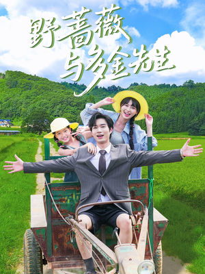 野蔷薇与多金先生（63集）全集一网打尽