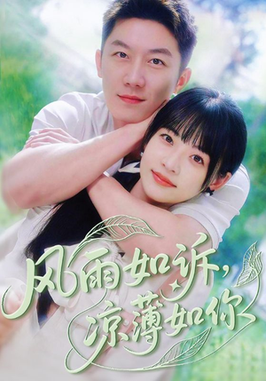 风雨如诉凉薄如你（70集）简直不要太好看