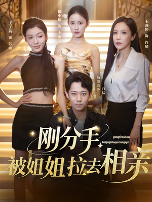 刚分手被姐姐拉去相亲(73集) 刚分手被姐姐拉去相亲(73集)不用花钱看全剧