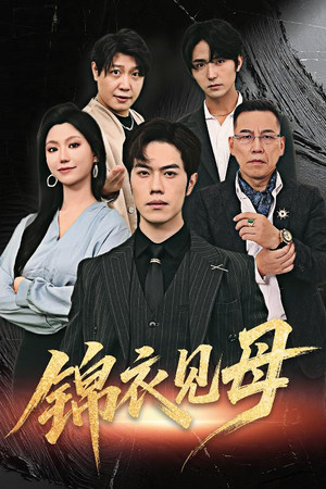 锦衣见母(60集) 锦衣见母(60集)怎么看全集