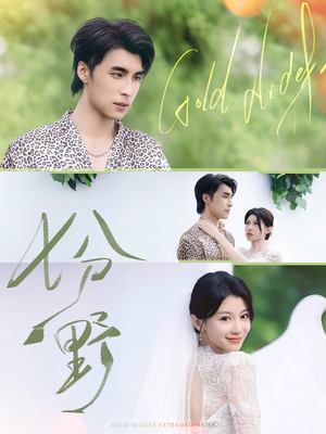 七分野（78集）一共多少集