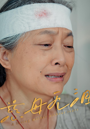 慈母无泪（30集）一口气追完短剧