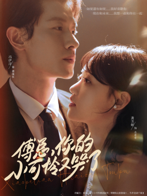 傅总你的小可怜又哭了（80集）短剧推荐分享