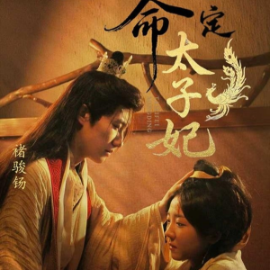 命定太子妃（63集）全集免费观看
