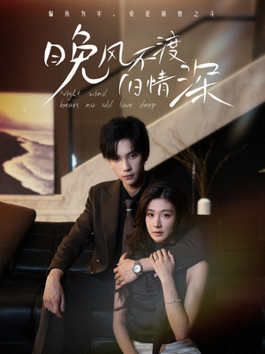 晚风不渡旧情深(70集) 晚风不渡旧情深(70集)好看到停不下来